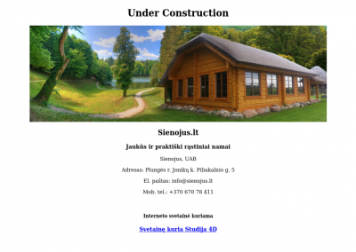 elektroninių parduotuvių kūrimas 134