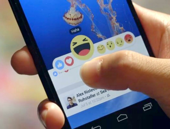 internetiniu puslapiu kurimas, facebook reakciju mygtukai ir ju pritiakymas verslui